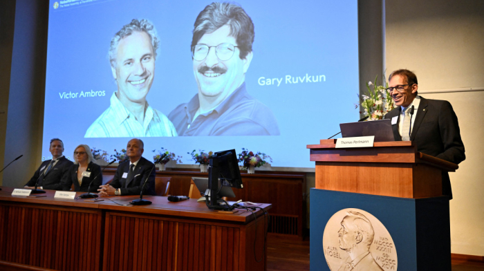 Nobel 2024: Ambros and Ruvkun win Medicine prize for microRNA discovery