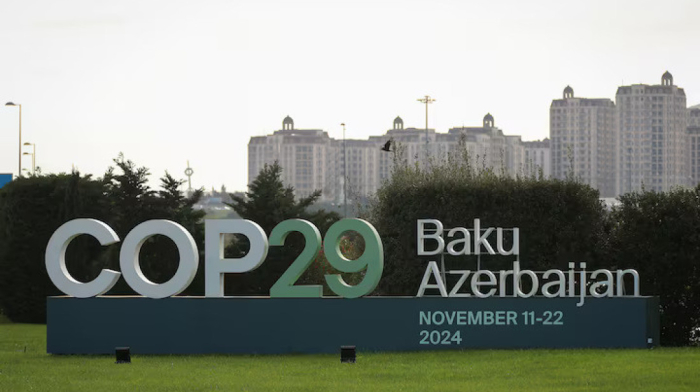 Azerbaijan plans to introduce a green investment guideline at COP29