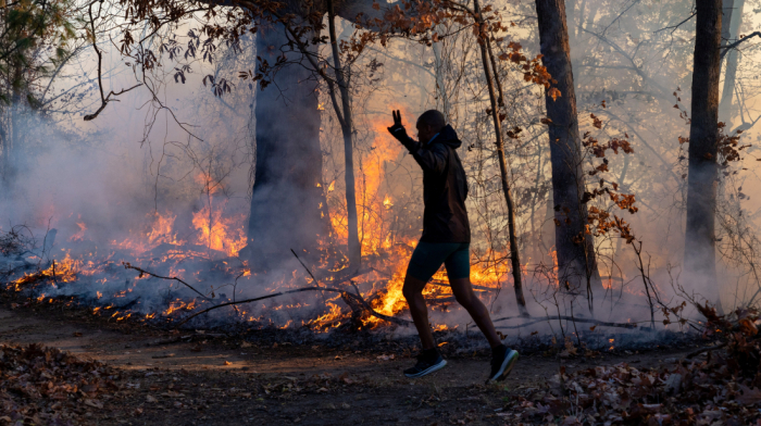 New Jersey Wildfire Continues Despite Overnight Rainfall