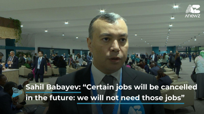 Sahil Babayev: “We need to diversify" in the job market