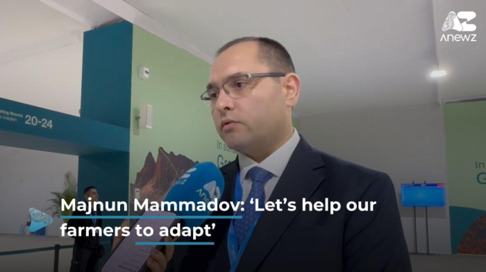 Majnun Mammadov: Azerbaijan is proposing COP29 initiatives to aid agriculture in the future