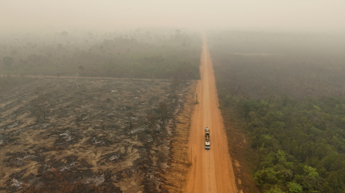 Global CO2 emissions to hit record high in 2024, report says