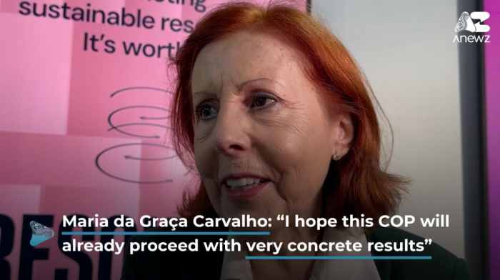 Maria da Graça Carvalho: “I hope this COP will already proceed with very concrete results”