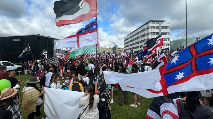 Tens of Thousands Protest in New Zealand Against Bill Redefining Indigenous Rights