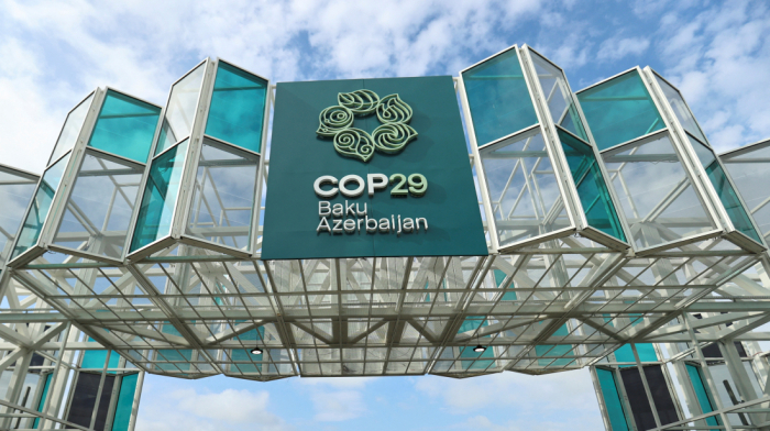 COP29 EXCLUSIVE: Key Divisions and Progress on the New Collective Quantified Goal