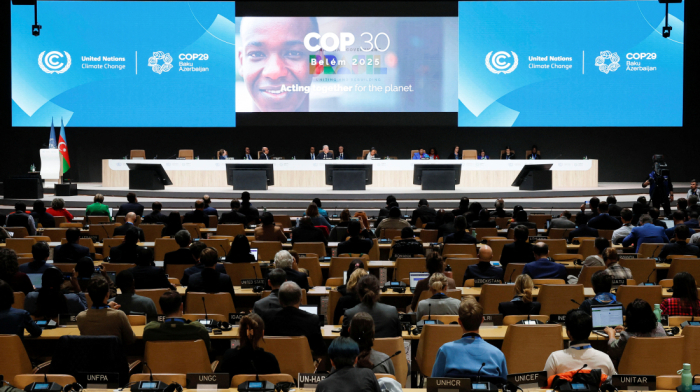 COP29 climate finance deal clinched, what are countries saying?