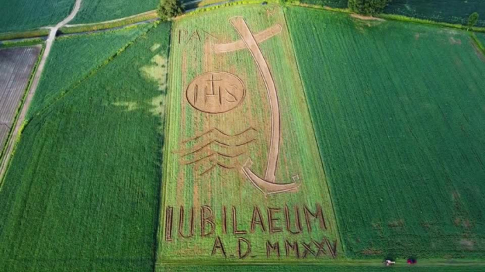 Italian artist designs huge logo in farm field for Vatican's holy year