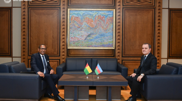 Azerbaijani FM holds meeting with Minister of Foreign Affairs of Guinea-Bissau