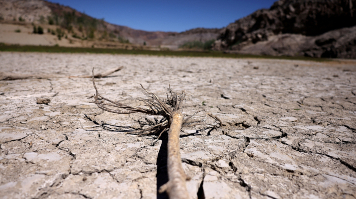 UN calls for $2.6 trillion investment to reverse land degradation