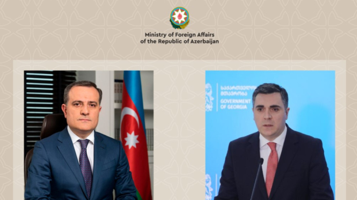 Azerbaijani and former Georgian foreign ministers discuss bilateral ties