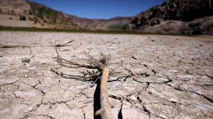 UN warns: drought costs $300B annually