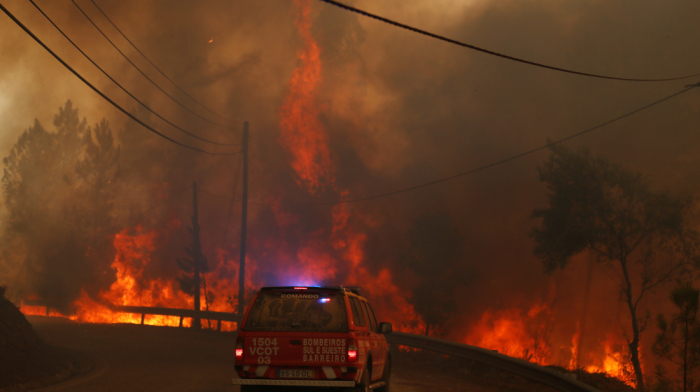 2024 Set to Exceed Climate Threshold, Experts Warn of Accelerating Crisis