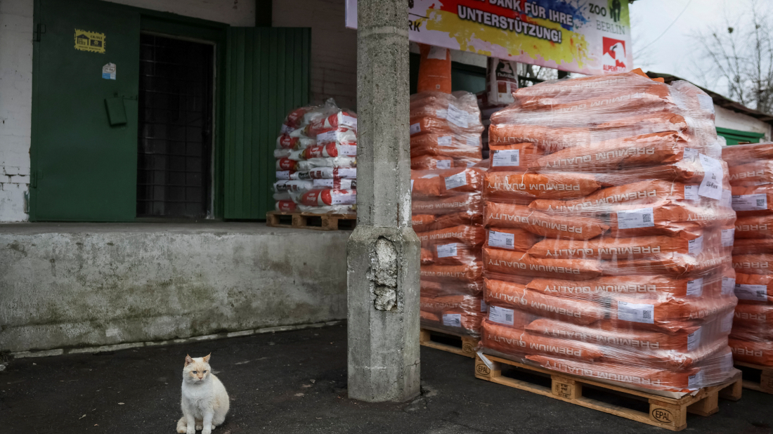 Kyiv Zoo gets 18-tonne food aid amid Ukraine conflict