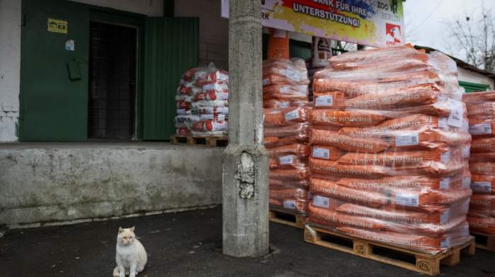 Kyiv Zoo gets 18-tonne food aid amid Ukraine conflict