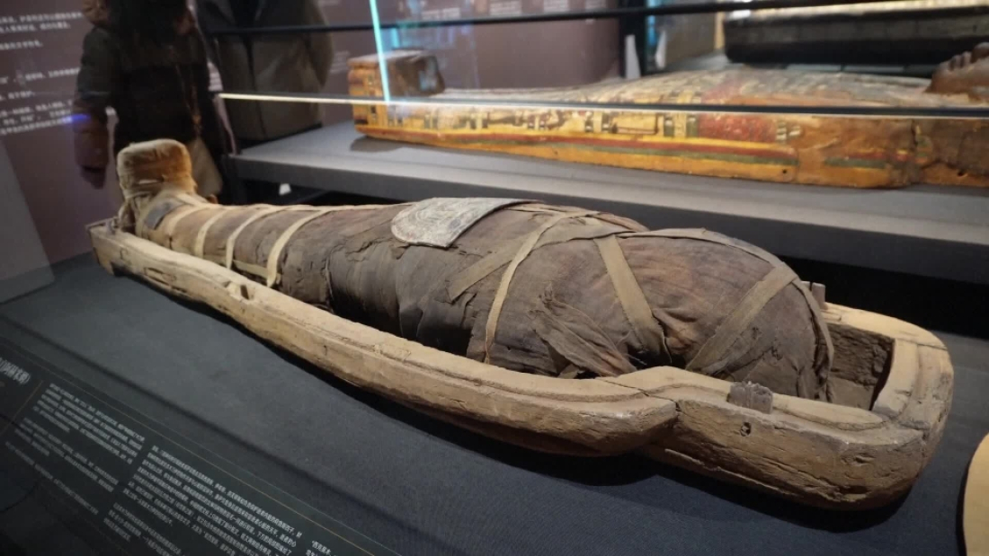 hide private collection in MUSEUM