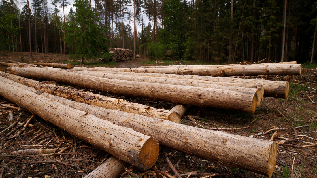 EU finalises 12-month delay of deforestation law