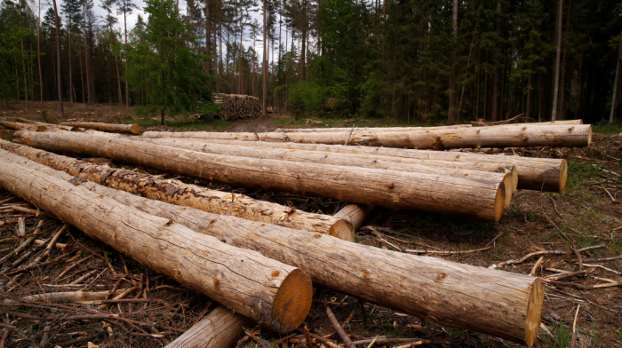 EU finalises 12-month delay of deforestation law