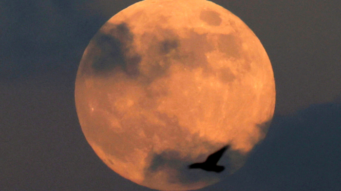 Japan begins research to make Moon habitation reality