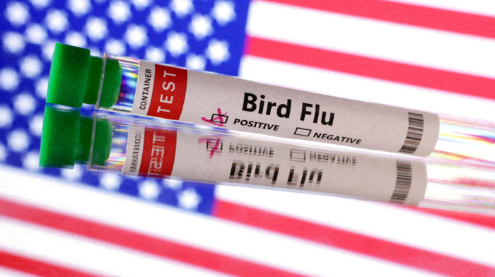 Louisiana reports first bird flu-related death in US