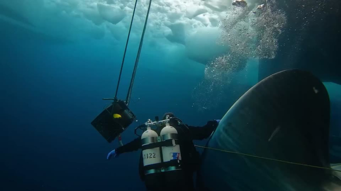 Coast Guard Divers Repair Leaking Ship in Antarctic Waters