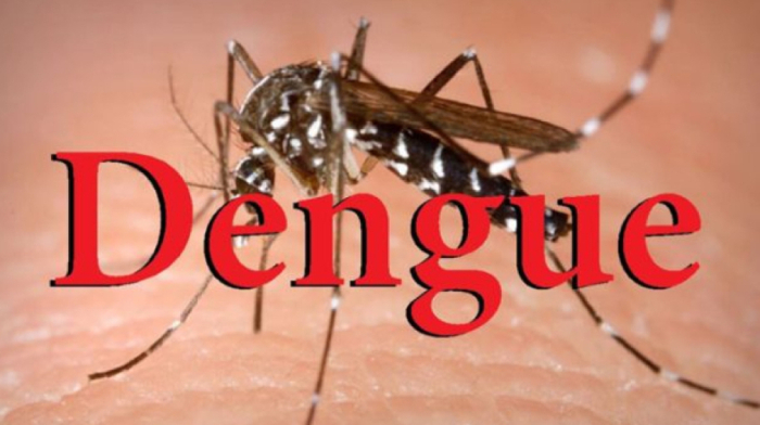 Sri Lanka reports nearly 50,000 dengue cases in 2024