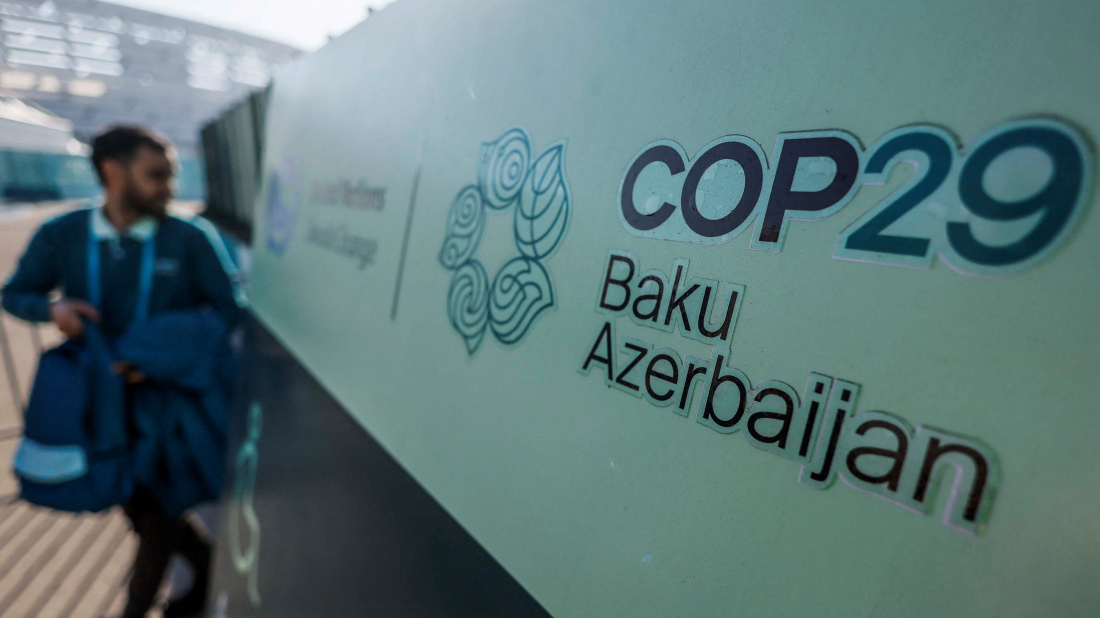 COP29 advances global carbon market