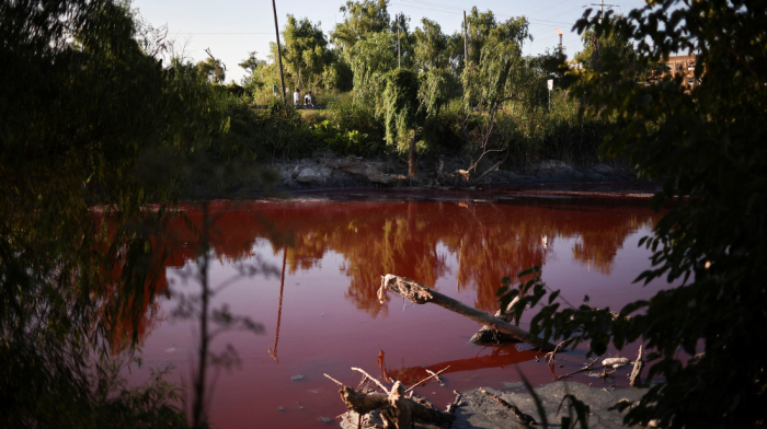 Mystery in Buenos Aires: Sarandí Stream Turns Blood-Red