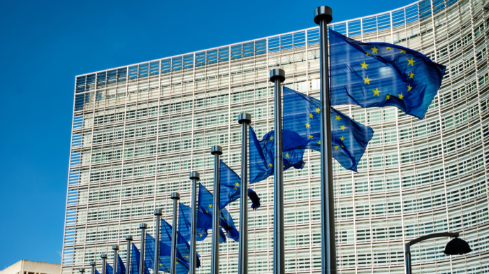 Georgia’s EU membership bid faces deepest crisis yet, European Parliament warns