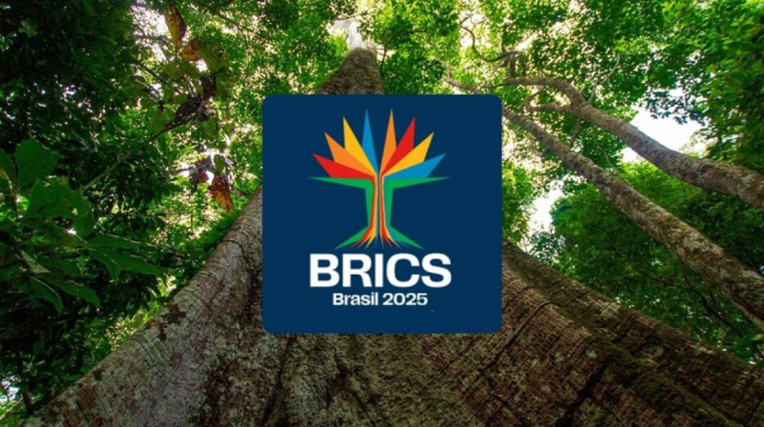 Rio de Janeiro will host BRICS leaders' summit in July