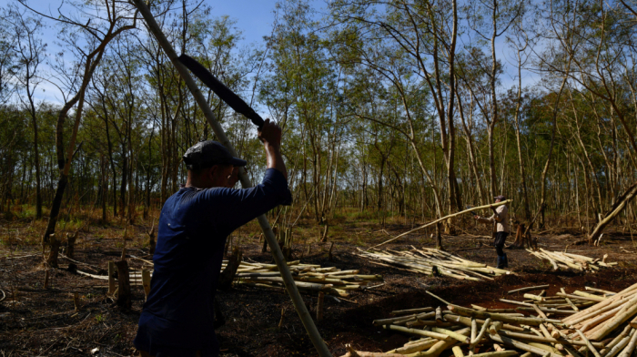 Cooking in the Dark: How Blackouts Force Cubans to Use Charcoal