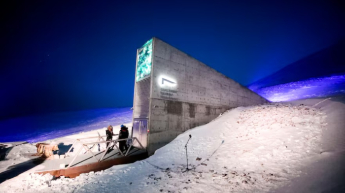 Arctic doomsday seed vault gets more than 14,000 new samples