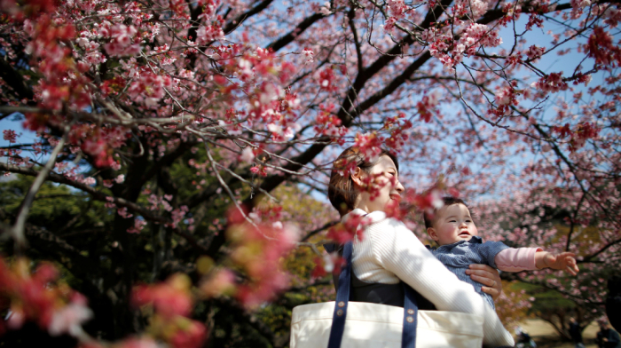 Japan's new births fall 9 straight years to record low in 2024