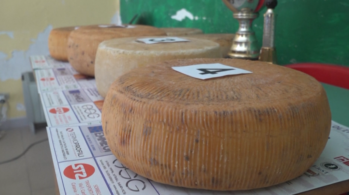 Sicilian cheese throwing game thrills Italian town