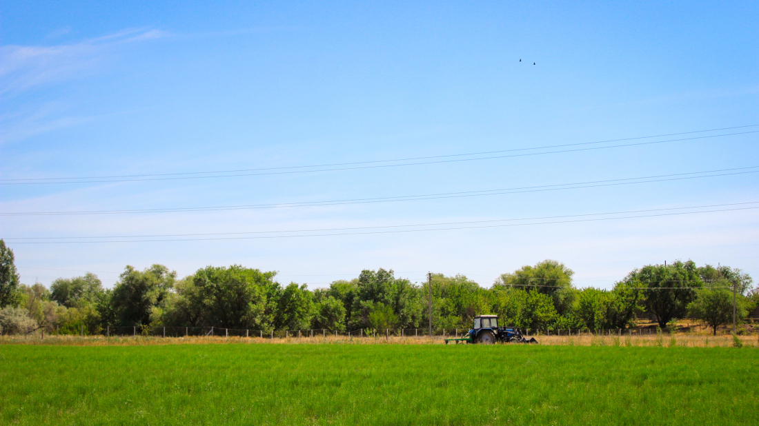 UNDP to support conserving ecosystem in Northern Kazakhstan