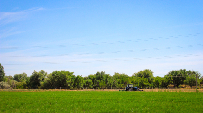 UNDP to support conserving ecosystem in Northern Kazakhstan
