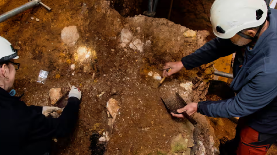 Bone fragments of oldest known human face in western Europe found in Spain