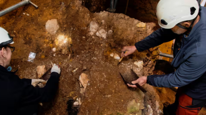 Bone fragments of oldest known human face in western Europe found in Spain