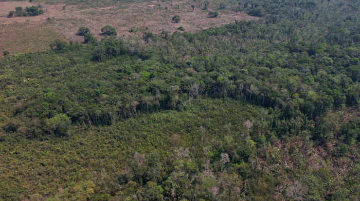 Ireland donates €15 million to Brazil's Amazon Fund