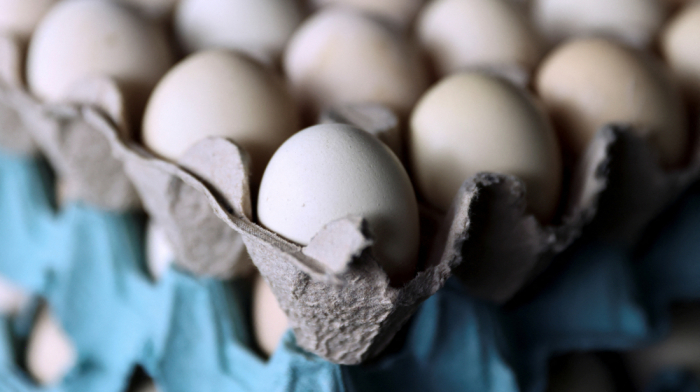 U.S. to import millions of eggs from Türkiye and South Korea