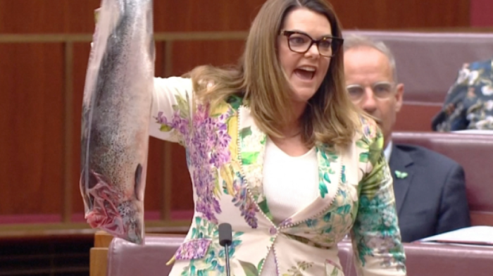 Australian senator protests salmon farming policy with fish stunt in parliament