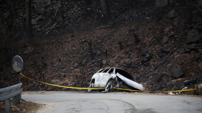 South Korea wildfires: Village leader dies trying to save neighbours