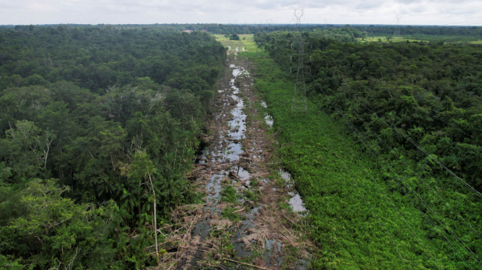 Brazil appoints business leader Dan Ioschpe as COP30 climate champion
