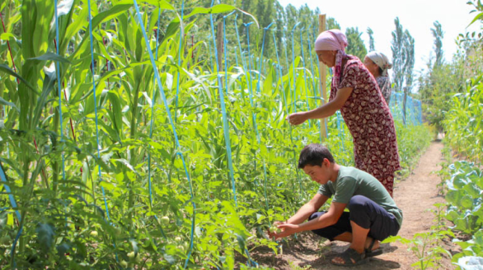 EBRD, FAO join efforts for sustainable agriculture in Kyrgyz Republic