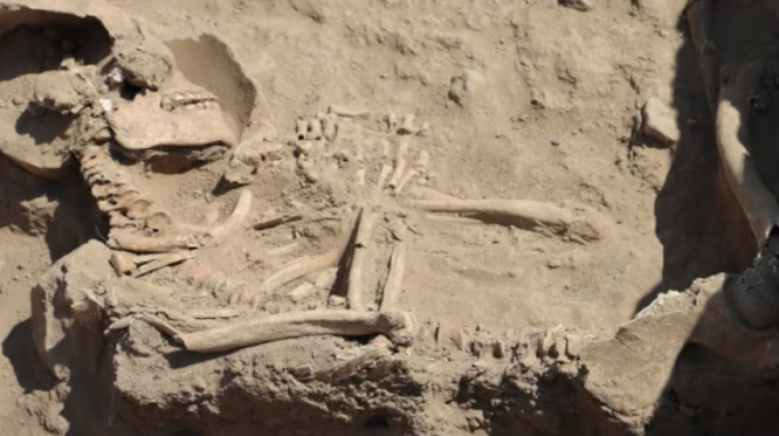 Human remains from 15th century discovered in Azerbaijan's Aghdam