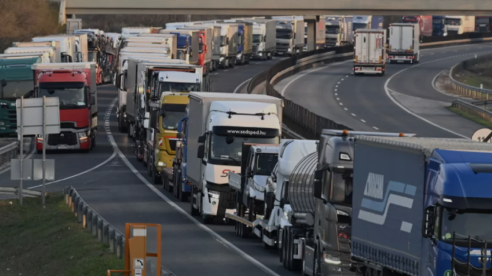 Austria closes off 24 border crossings with Hungary, Slovakia after foot-and-mouth disease outbreak