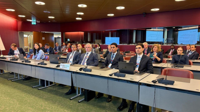 Azerbaijan presents mine problem and demining efforts at UN meeting in Geneva