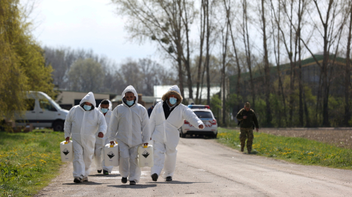 Central Europe battles cattle disease outbreak