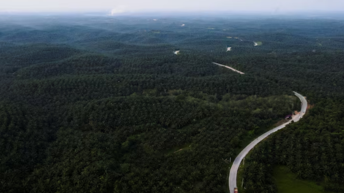 Indonesia arrests judges who cleared palm oil companies of graft charges