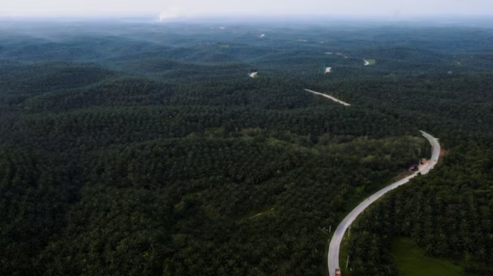 Indonesia arrests judges who cleared palm oil companies of graft charges