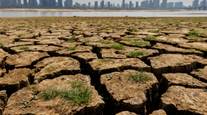 March 2025 ranks as second-warmest on record globally, warmest ever in Europe